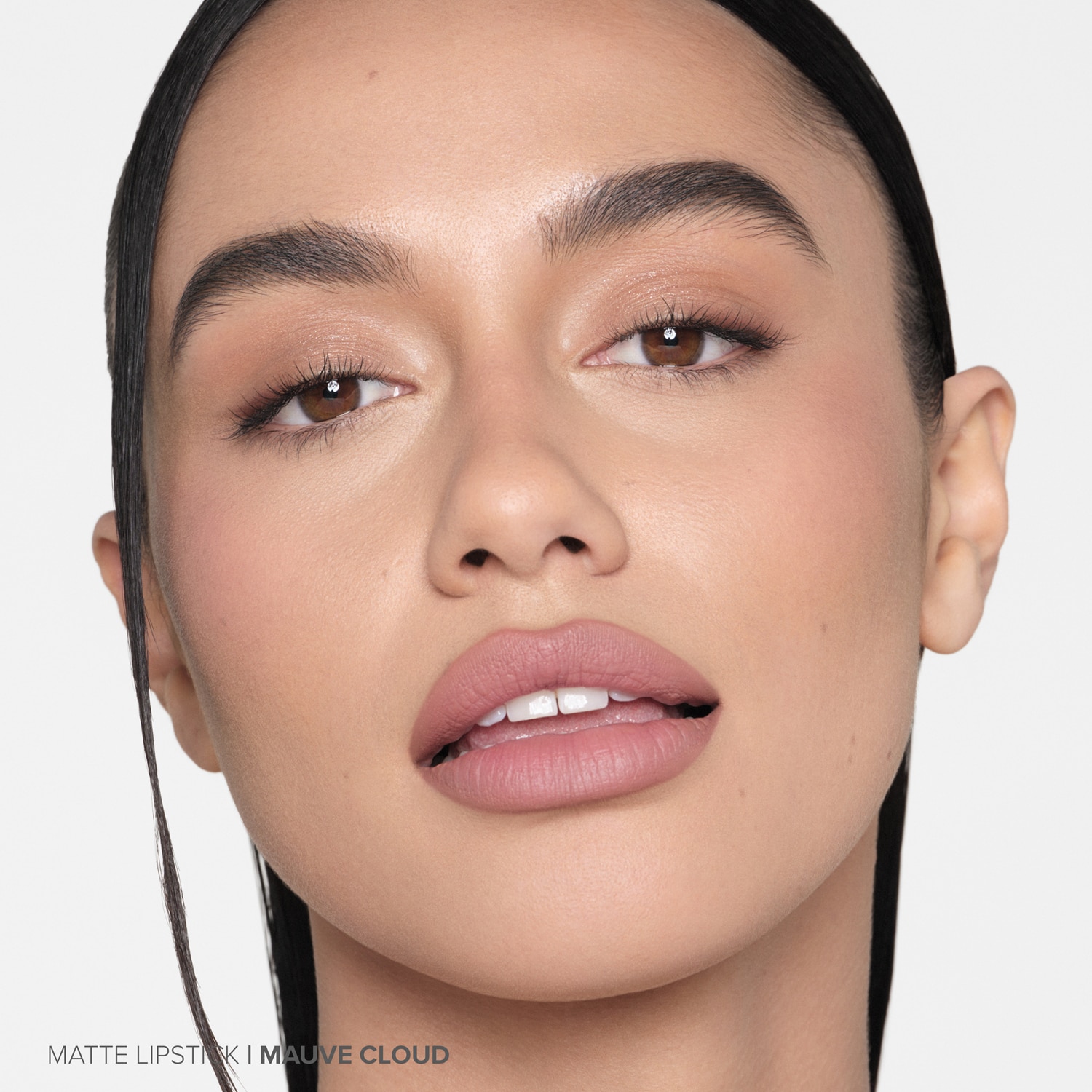 MATTE VELVET LIPSTICKS (LABIAL MATE)